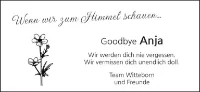eine Anzeige
