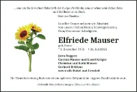 eine Anzeige